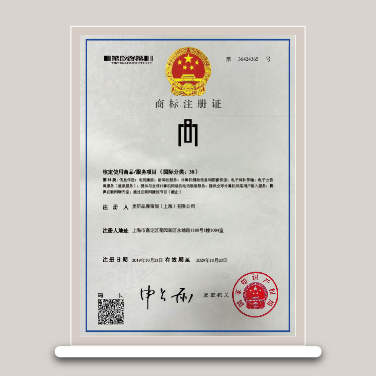 第38类:信息传送;电视播放;新闻社服务;计算机辅助信息和图像传送;电子邮件传输;电子公告 牌服务(通讯服务);提供与全